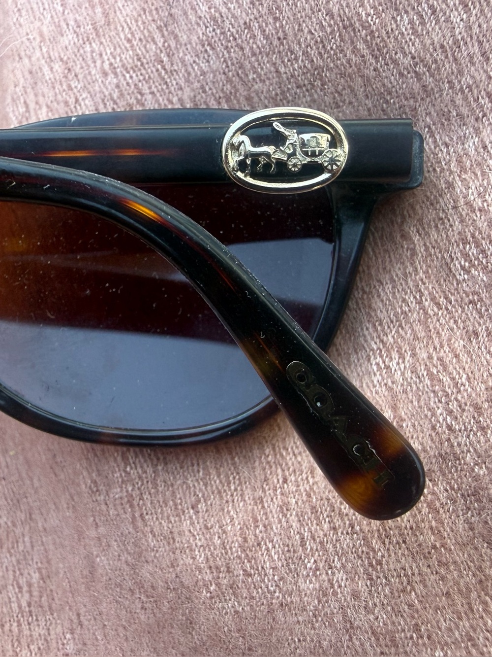 COACH Brown Tortoise With Gold Coach Logo New Lenses HC 6155